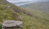 Randonnée Marche West Cork - Hungry Hill - Photo 14