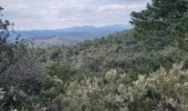 Tour Wandern Cendras - Vallée du Galeizon et crétes de Moncalm - Photo 11