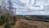 Trail Walking Wellin - rando wellin 23/02/2021 - Photo 10