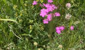 Trail Walking Entraunes - Cols de Sanguiniere et de la Baïssa - Photo 1