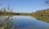 Randonnée Marche Bézu-Saint-Éloi - Bézu Saint Eloi - Les Etangs de Neaufles - La tour de Neaufles - Photo 10