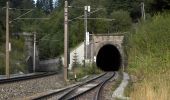 Percorso A piedi Mürzzuschlag - Steirischer Semmering Bahnwanderweg - Photo 5