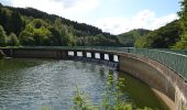 Tocht Te voet Lac de la Haute-Sûre - Fleche Bleu Lifrange - Photo 7