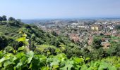 Tour Wandern Carrara - CR_Francigena_CI_32_Carrare-Avenza_Massa_20220615 - Photo 5