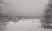 Tour Wandern Spa - spa . Marteau. golf . warfaaz . spa - Photo 13