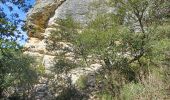 Randonnée Marche Buoux - APT,  Buous , circuit d Aigue Brun o l  - Photo 16