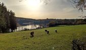 Randonnée Vélo Waimes - Province de Liège tourisme - Le lac de Bütgenbach - Photo 8