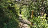 Trail Walking Die - Le Dôme ou Pié Ferré de l'Abbaye Valcroissant - Photo 2