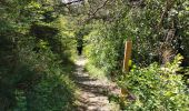 Tocht Stappen Die - Le Dôme ou Pié Ferré de l'Abbaye Valcroissant - Photo 2