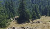 Tocht Stappen Névache - Fontcouverte (Nevache) - Lac des Bermudes A/R - Photo 3