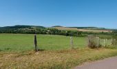 Tocht Elektrische fiets Auberive - Auberives et environs  - Photo 4