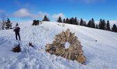 Randonnée Raquettes à neige Corrençon-en-Vercors - Corrençon - Malaterre - Chateau Julien - Photo 3