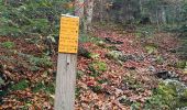 Tour Wandern La Chapelle-en-Vercors - Serre Plumé  - Photo 19