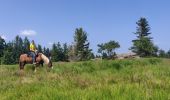 Trail Horseback riding Lutzelhouse - 2021-07-18 Journée Le petit Wisches Le Noll - Photo 1