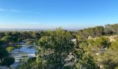 Trail Walking Fontvieille - Fontvieille - Photo 1