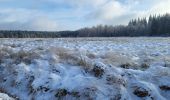 Randonnée Marche Tenneville - Laneuville aux bois 180124 - Photo 12