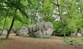 Tocht Stappen Fontainebleau - Fontainebleau Circuit PR Sentier Denecourt 5 - Photo 1