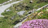 Tocht Stappen Pralognan-la-Vanoise - Tour de l''aiguille de la Vanoise - Photo 5