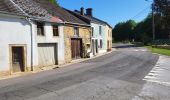 Tocht Stappen Meix-devant-Virton - Gerouville 060723 - Photo 4