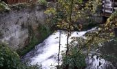 Trail Walking Rouen - Darnétal le long du Robec vers la petite Bouverie et retour - Photo 3