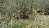 Trail On foot Hamoir - Promenade de Fairon - Photo 2