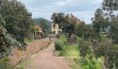 Tour Wandern Saint-Raphaël - Mt Vinaigre et Suvières depuis Roussiveau - Photo 5