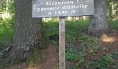 Trail Walking Savines-le-Lac - Pic de Morgon 13.8.23 - Photo 17