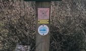 Tour Wandern Cenves - Cenves 