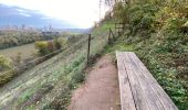 Tour Wandern Weset - Lanaye 20 km - Photo 19