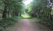 Trail On foot Harrislee - Rundweg 1, Stiftungsland Schäferhaus - Photo 9