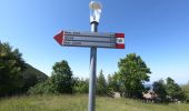 Tocht Te voet Carenno - Percorso didattico naturalistico del Pertüs - Photo 5