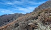 Tour Wandern Ferrère - Marrougne en boucle depuis Ferrère  - Photo 2