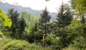 Tocht Stappen Plateau-des-Petites-Roches - Cascade du Douix - Photo 1