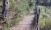Trail Walking Caromb - Les 3 Termes 449 le Groseau - Photo 8
