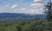 Randonnée Marche Chantemerle-lès-Grignan - Chantemerle-lès-Grignan les Homais 11km - Photo 3