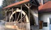 Tour Zu Fuß Kiefersfelden - Gießenbachklamm Rundweg - Photo 2