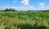 Trail Walking Meix-devant-Virton - Gerouville 060723 - Photo 7