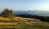 Tour Wandern Beaumont-du-Ventoux - Mt Serein - Cachillan - Photo 8