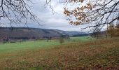 Tour Wandern La Roche-en-Ardenne - rando samrée 13/11/2020 - Photo 11