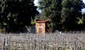 Trail Walking Pierrefeu-du-Var - SityTrail - cabane des gardes-Pierrefeu-25-02-22 - Photo 15