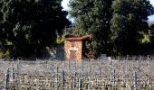 Randonnée Marche Pierrefeu-du-Var - Portanière - Beguin - Sauvecanne - Cogolins - Cabane des gardes - Fontaine Pétou - Les Davids - Photo 15