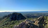 Tocht Stappen Fréjus - Mont Vinaigre depuis Colle Douce - Photo 13