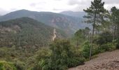 Tour Wandern Fréjus - Col du Testanier - le mont vinaigre - Photo 6