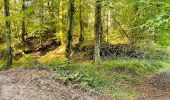 Randonnée Marche Largny-sur-Automne - en Forêt de Retz_90_09_2021_la Selve - Photo 10