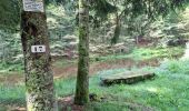 Trail Walking La Bresse - la montagne aux Lamas - Photo 8