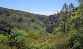 Trail Walking Bagnols-en-Forêt - Gorges du Blavet - Photo 4