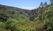 Tour Wandern Bagnols-en-Forêt - Gorges du Blavet - Photo 4