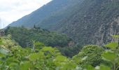 Tour Wandern Thuès-Entre-Valls - Thues les Bains Les Sources - Photo 2