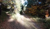 Tocht Stappen Saint-Vallier-de-Thiey - Face Sud de la montagne de Thiey - Photo 14