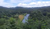 Excursión Senderismo Bertrix - la roche percée  - Photo 17